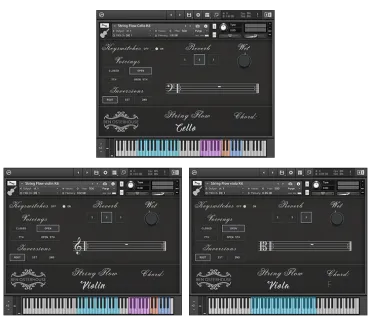 String Flow Collection thumbnail