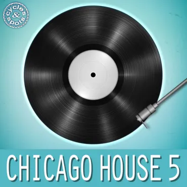 Chicago House 5 thumbnail