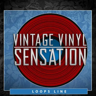 Vintage Vinyl Sensation thumbnail