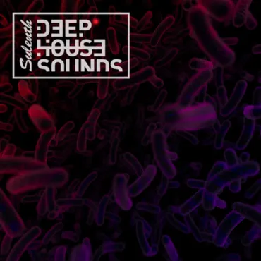 Sylenth Deep House Sounds thumbnail