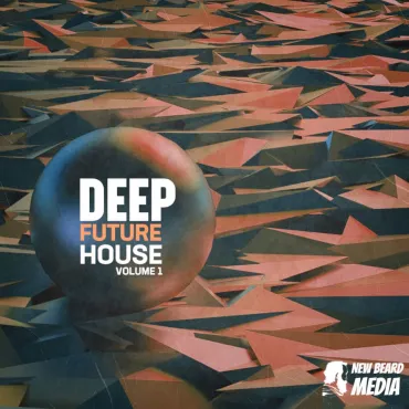 Deep Future House Vol 1 thumbnail