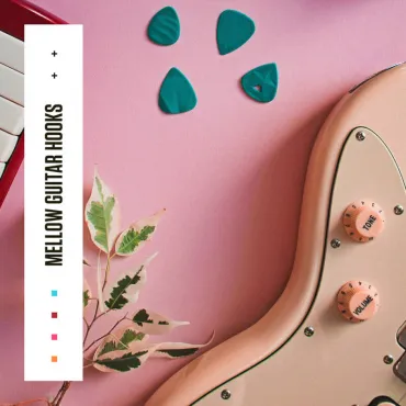 Mellow Guitar Hooks thumbnail