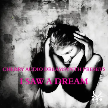 I Saw A Dream - Dreamsynth DS-1 thumbnail