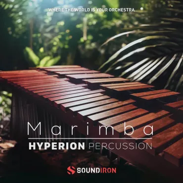 Hyperion Percussion: Marimba thumbnail