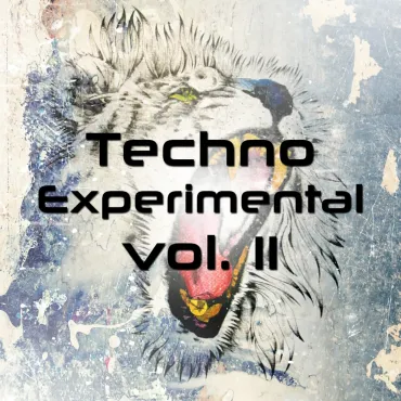Techno Experimental Vol 11 thumbnail