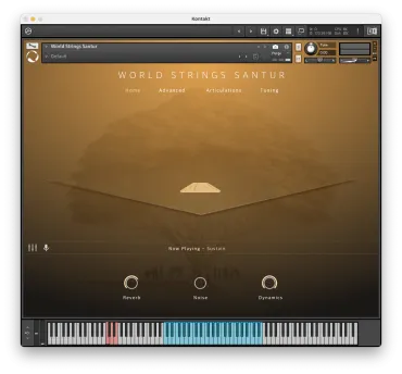 World Strings: Santur thumbnail