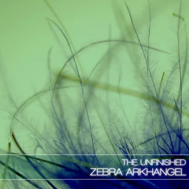 Zebra Arkhangel thumbnail