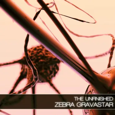 Zebra Gravastar thumbnail
