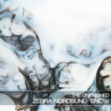 Zebra Nordsund: Snow thumbnail