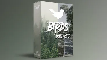 Birds Ambiences thumbnail