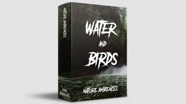 Water and Birds - Nature Ambience thumbnail