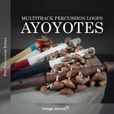 Ayoyotes (Seeds-Shells)  thumbnail