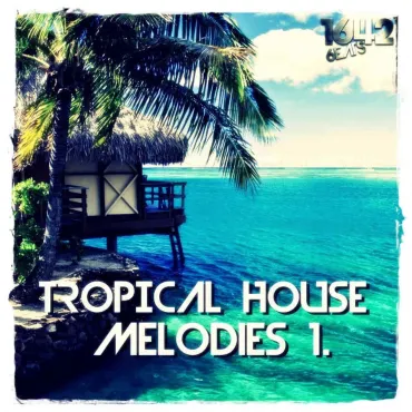 Tropical House Melodies 1 thumbnail