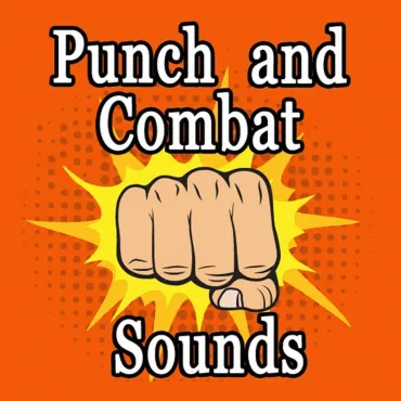 Punch and Combat Sounds thumbnail