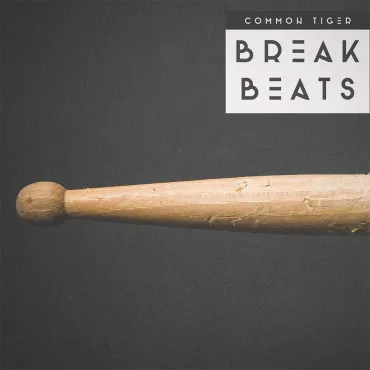 Break Beats thumbnail