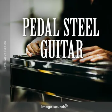 Pedal Steel Guitar 1 thumbnail