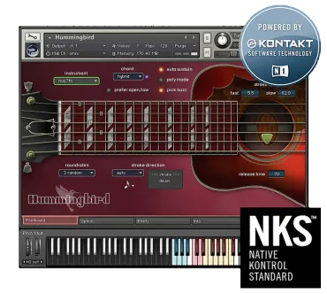 Hummingbird Guitar thumbnail