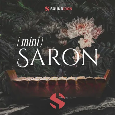 Mini Saron thumbnail