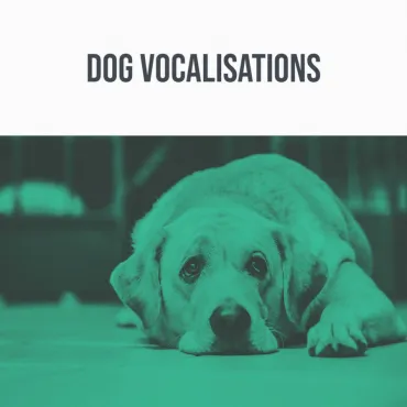 Dog Vocalisations thumbnail