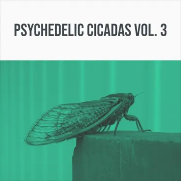 Psychedelic Cicadas Vol. 3 thumbnail