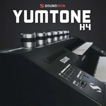 Yumtone H4 thumbnail