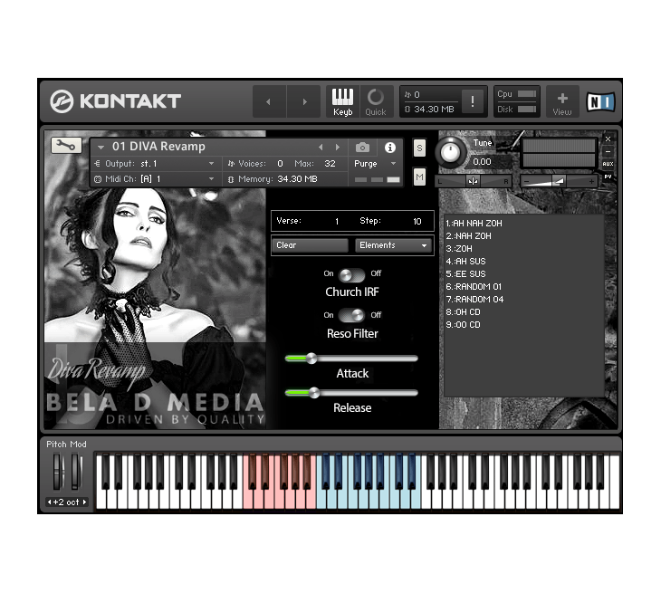 Bela D Media - DIVA Revamp Kontakt Instruments Software GUI Artwork