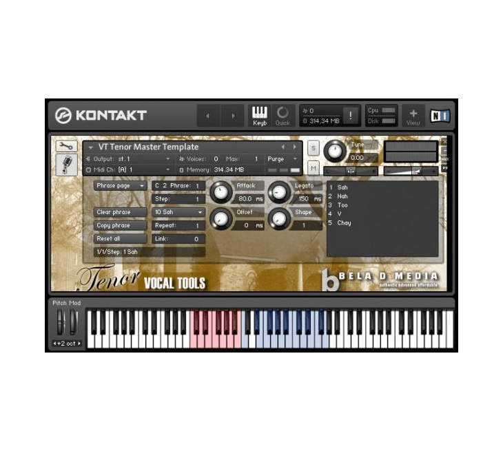 Bela D Media - Vocal Tools Tenor Kontakt Instruments Software GUI Artwork