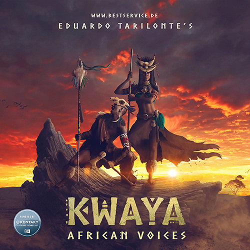 Best Service - KWAYA Screenshot 2