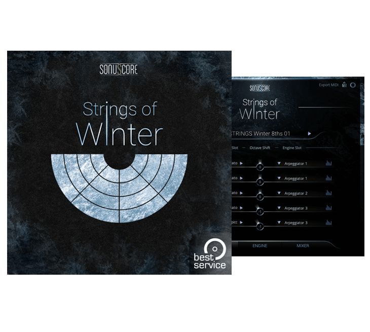 Best Service - TO - Strings of Winter Kontakt Instruments Software GUI Artwork