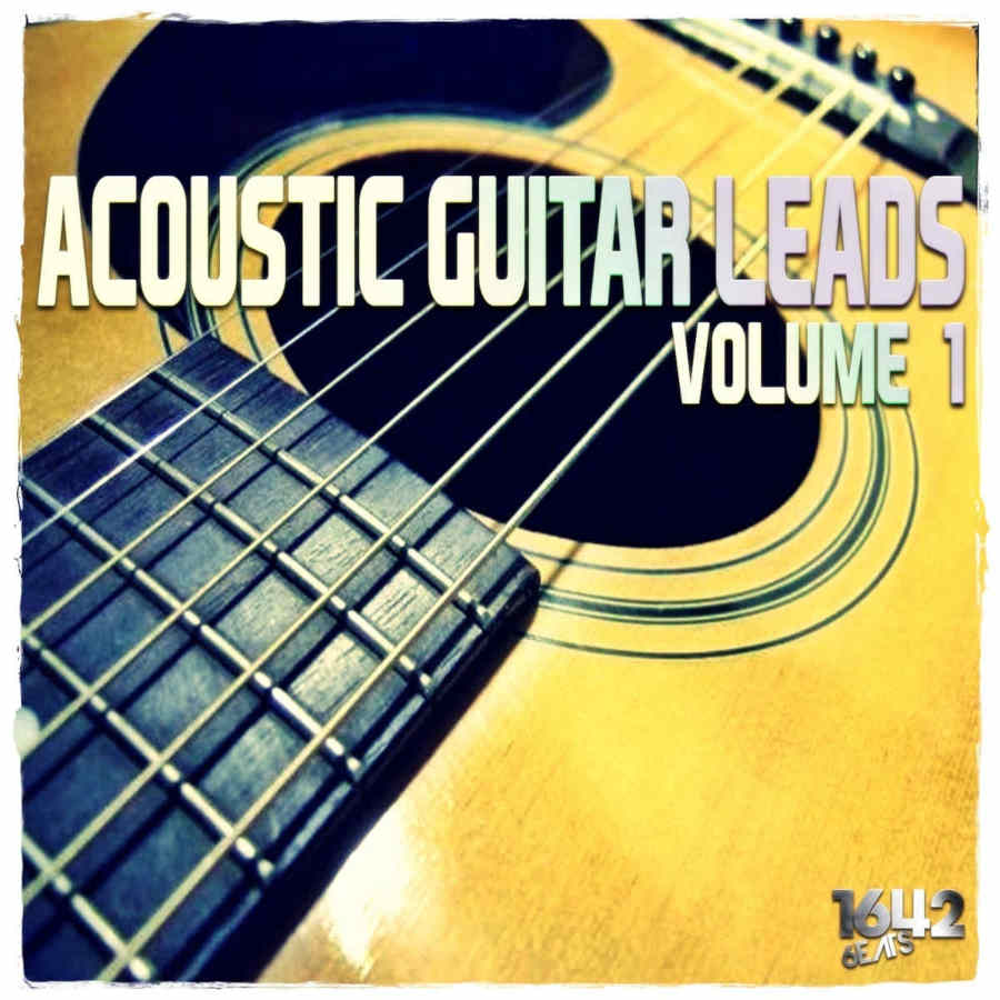 1642 Beats - Acoustic Guitar Leads Vol. 1 Sample Packs Software GUI Artwork