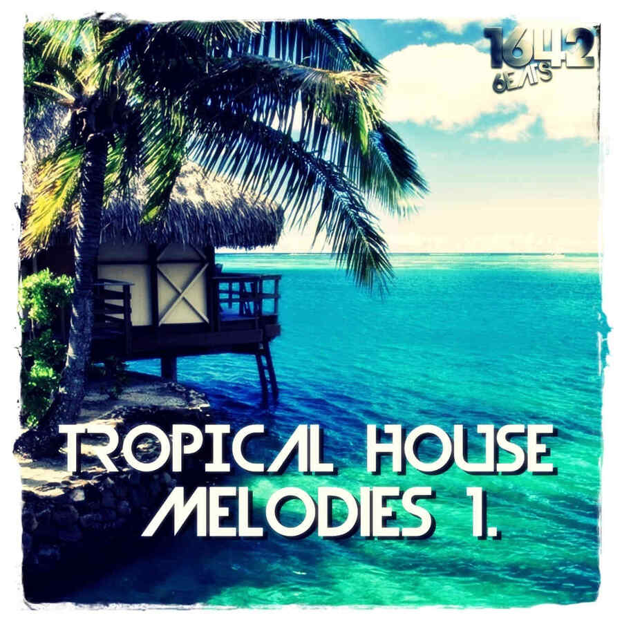 1642 Beats - Tropical House Melodies 1 Sample Packs Software GUI Artwork
