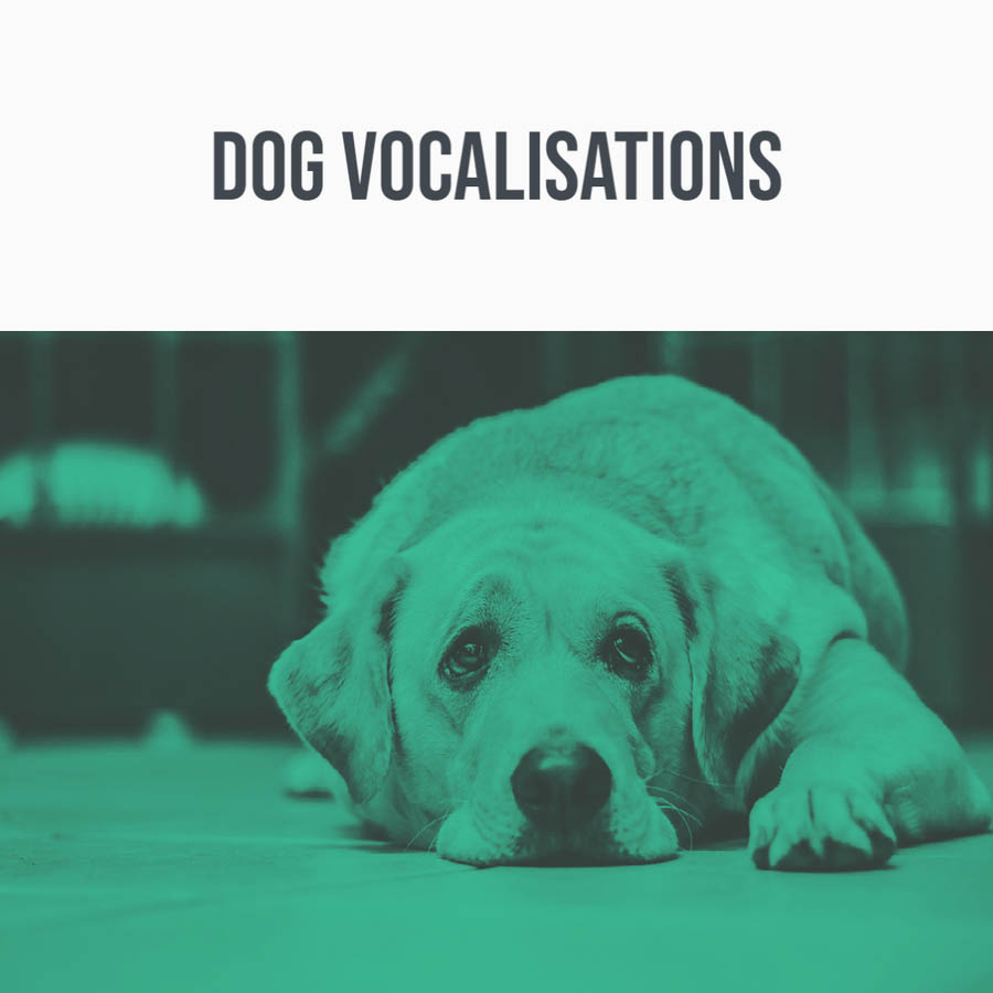 344 SFX - Dog Vocalisations Sample Packs Software GUI Artwork