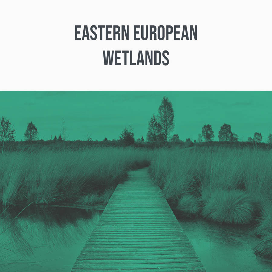 344 SFX - Eastern European Wetlands Sample Packs Software GUI Artwork