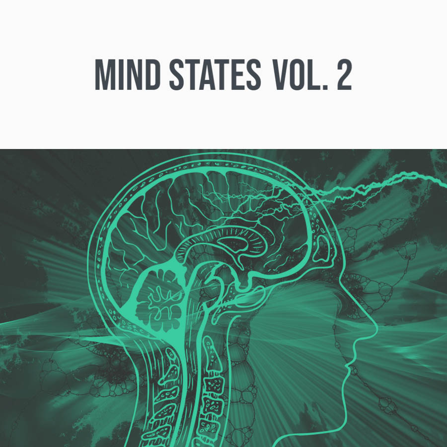344 SFX - Mind States Vol. 2 Sample Packs Software GUI Artwork