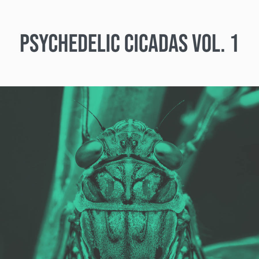 344 SFX - Psychedelic Cicadas Vol. 1 Sample Packs Software GUI Artwork