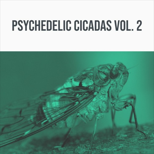 344 SFX - Psychedelic Cicadas Vol. 2 Sample Packs Software GUI Artwork