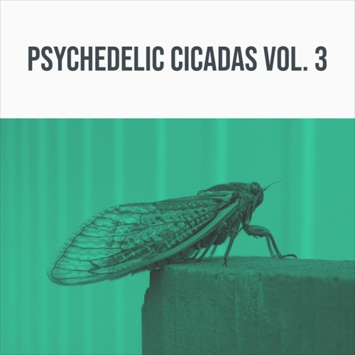 344 SFX - Psychedelic Cicadas Vol. 3 Sample Packs Software GUI Artwork