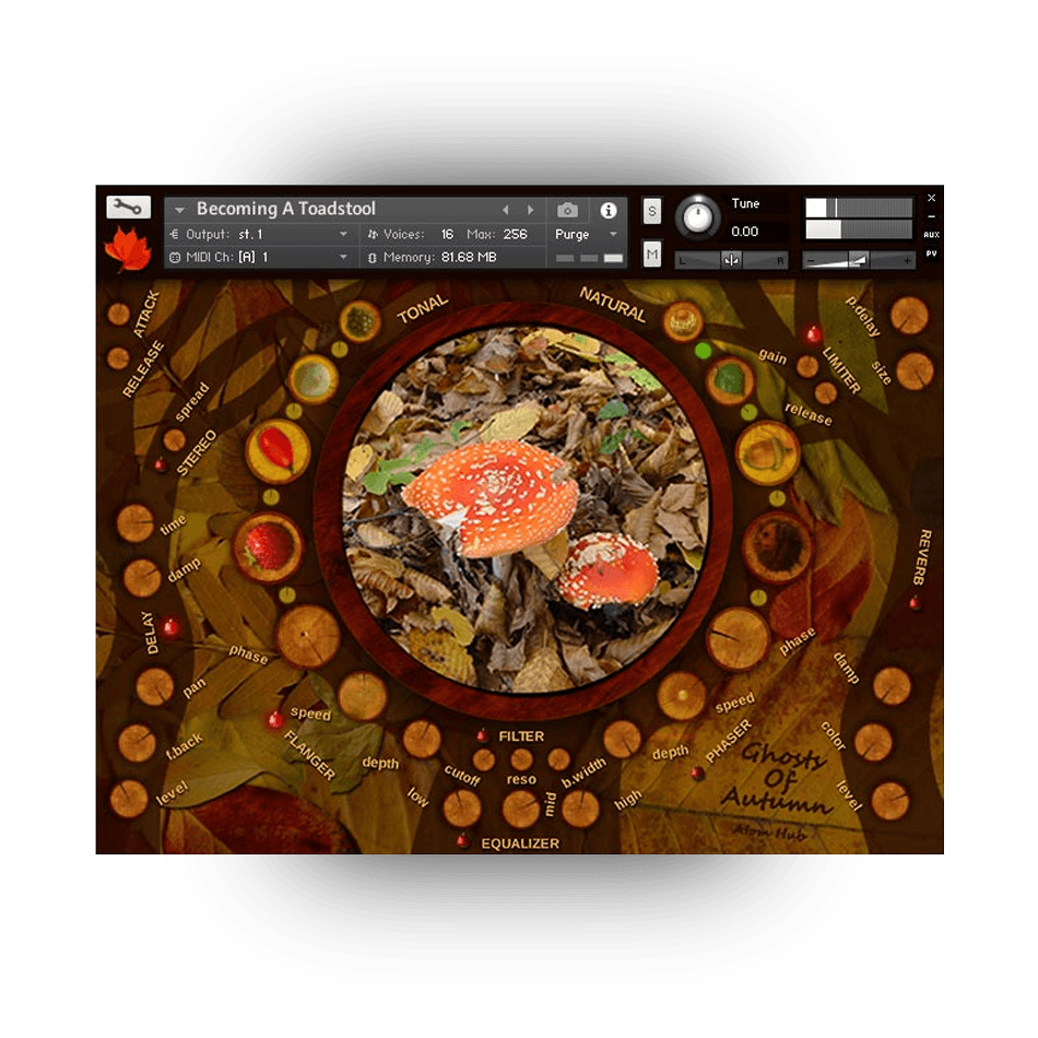 Atom Hub - Ghosts of Autumn Kontakt Instruments Software GUI Artwork