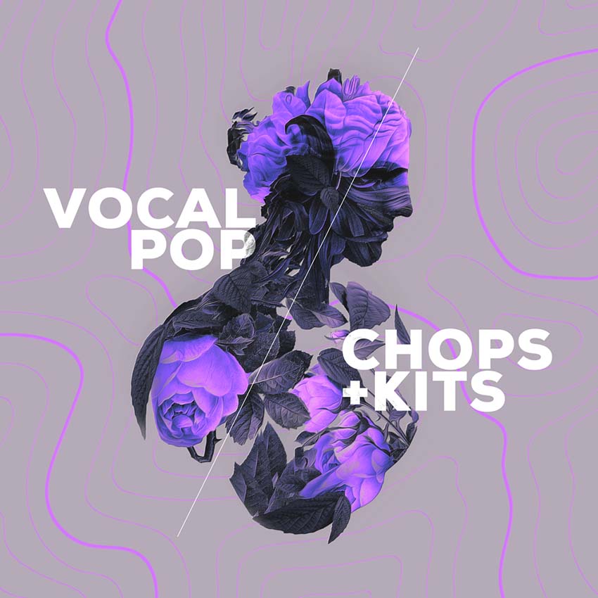 Audiomodern - Vocal Pop - Loopmix Expansion Presets Software GUI Artwork