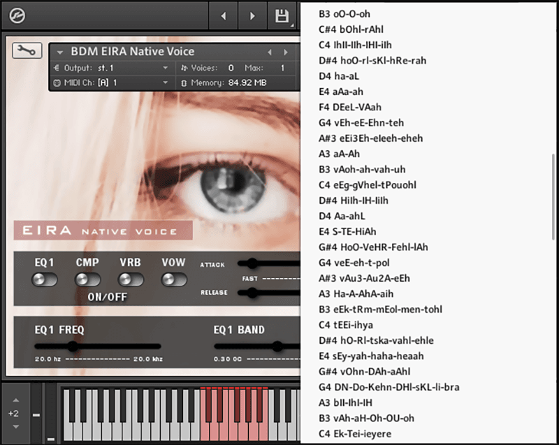 Bela D Media - Native Voice Eira Screenshot 2
