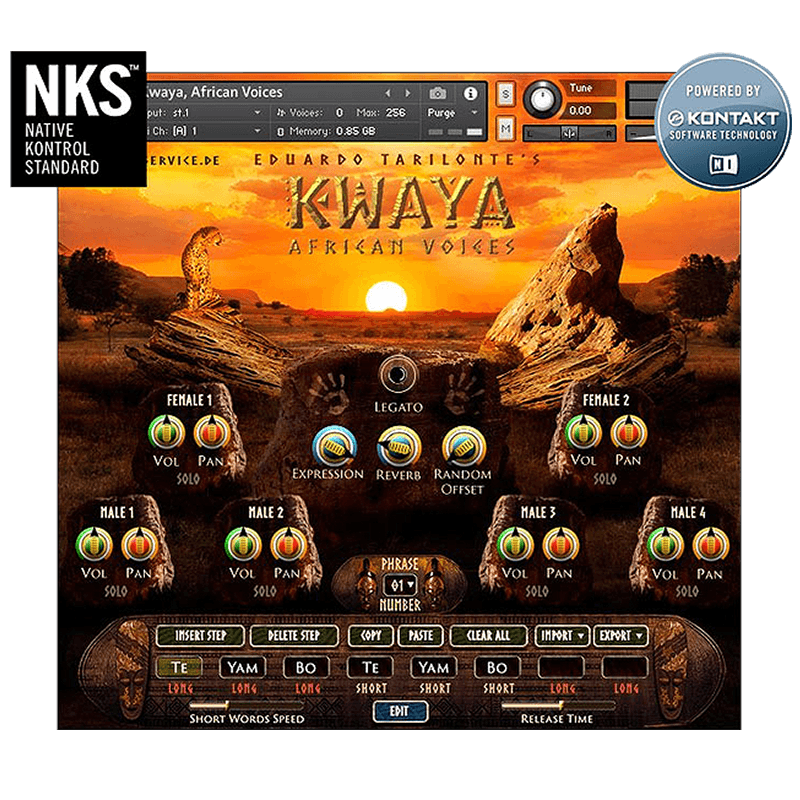 Best Service - KWAYA Kontakt Instruments Software GUI Artwork