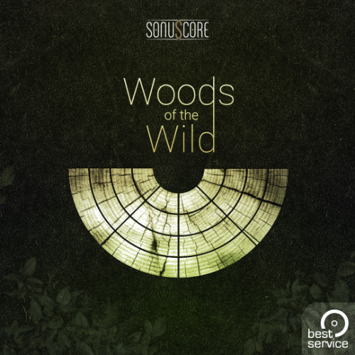 Best Service - TO - Woods Of The Wild Kontakt Instruments Software GUI Artwork