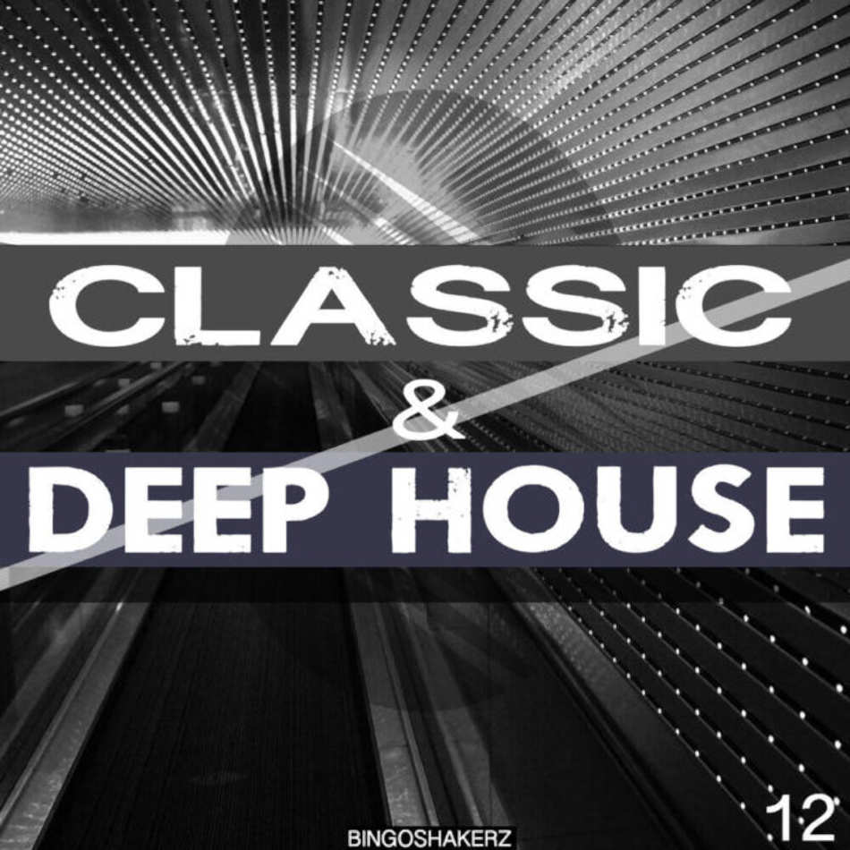 Bingoshakerz - Classic & Deep House Sample Packs Software GUI Artwork