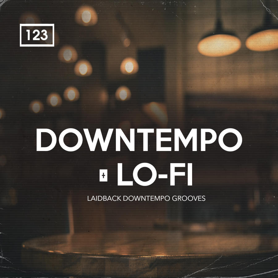 Bingoshakerz - Downtempo & Lo-Fi Sample Packs Software GUI Artwork