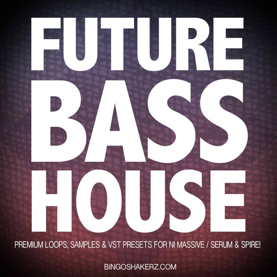 Bingoshakerz - Future Bass House Sample Packs Software GUI Artwork