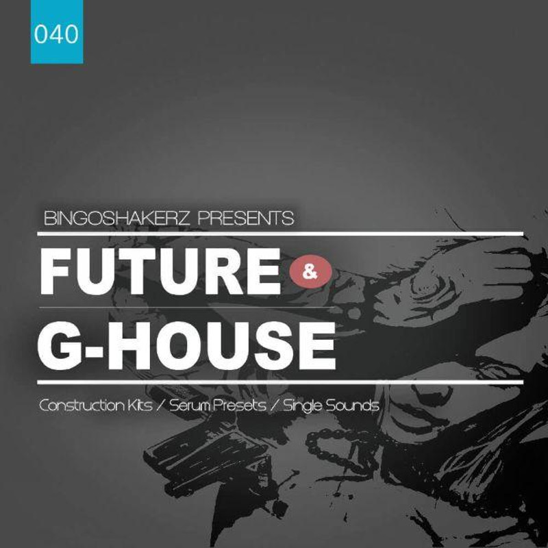 Bingoshakerz - Future & G-House Sample Packs Software GUI Artwork