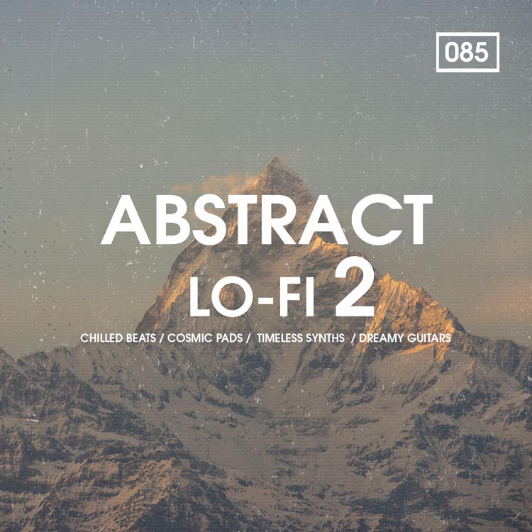 Bingoshakerz - Abstract Lo-Fi 2 Sample Packs Software GUI Artwork