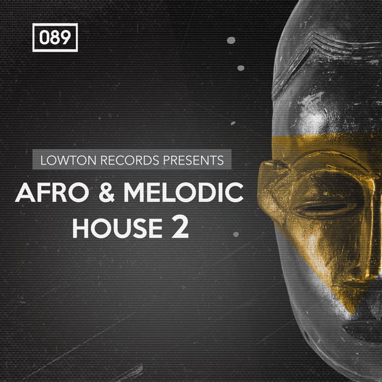 Bingoshakerz - Afro & Melodic House 2 Sample Packs Software GUI Artwork