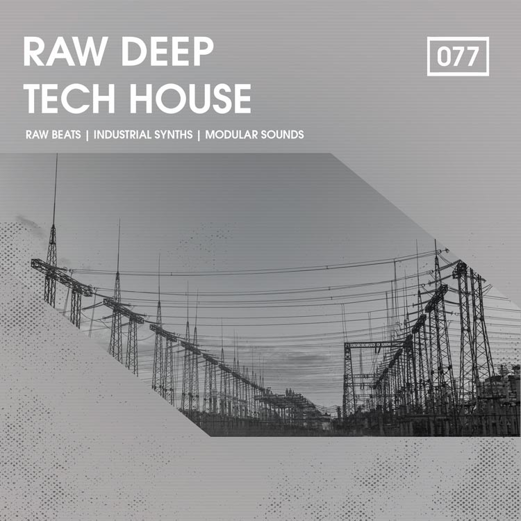Bingoshakerz - Raw Deep Tech House Sample Packs Software GUI Artwork