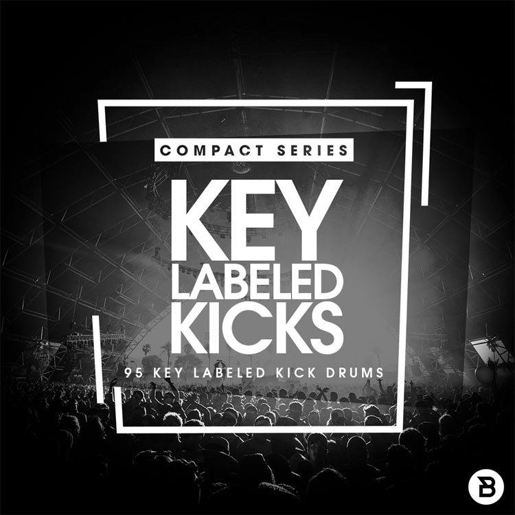 Bingoshakerz - Compact Series: Key Labelled Kicks Sample Packs Software GUI Artwork